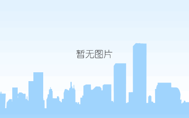 插墙式电源适配器